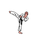 GIF animado (15113) Patada judo