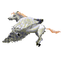 GIF animado (21721) Pegaso veloz