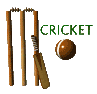 GIF animado (15592) Pelota bate cricket