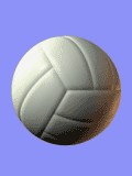 GIF animado (16809) Pelota voleibol