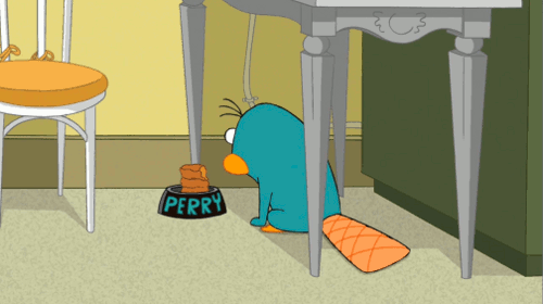 GIF animado (18996) Perry el ornitorrinco comiendo