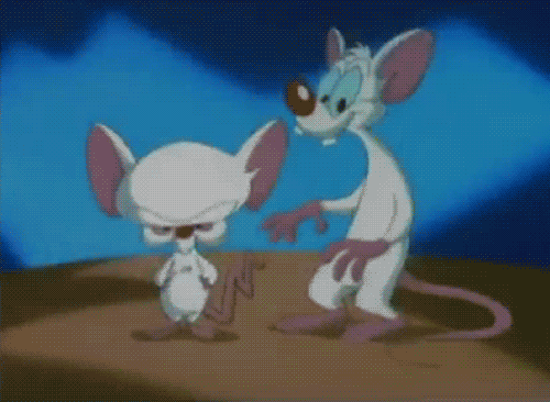 Imagen GIF de Pinky y cerebro animado