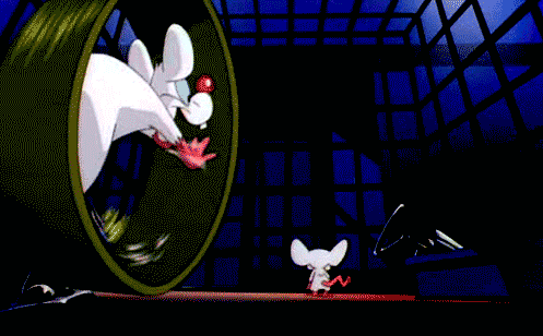 Imagen GIF de Pinky y cerebro conquistando el mundo animado