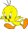 GIF animado (19994) Piolin