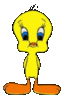 GIF animado (19996) Piolin