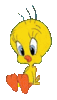 GIF animado (19997) Piolin