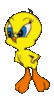 GIF animado (20000) Piolin