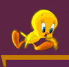 GIF animado (20006) Piolin