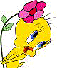 GIF animado (20014) Piolin