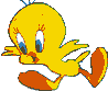 GIF animado (20023) Piolin