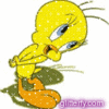 GIF animado (20070) Piolin glitter
