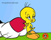 GIF animado (20102) Piolin silvestre