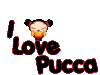 GIF animado (17549) Pucca