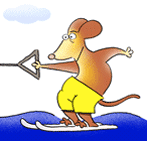 GIF animado (15731) Raton esquiador acuatico