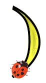 GIF animado (25651) Signo cierra parentesis amarillo mariquita