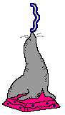 GIF animado (29638) Signo cierra parentesis llave leon marino