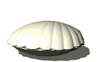 GIF animado (22207) Sirena concha