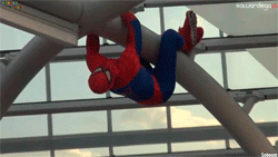 GIF animado (24288) Spiderman real