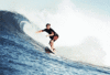 GIF animado (16614) Surfeando