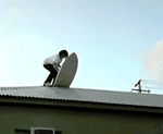 GIF animado (24218) Surfeando tejado