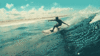 GIF animado (16621) Surfero