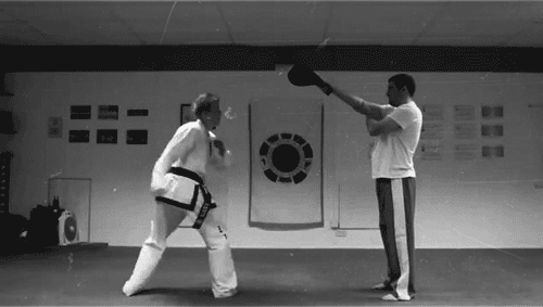 GIF animado (15183) Taekwondo