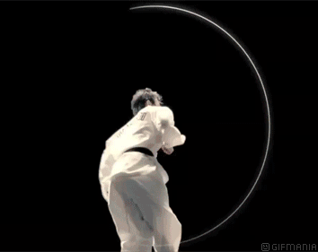 GIF animado (15185) Taekwondo corea