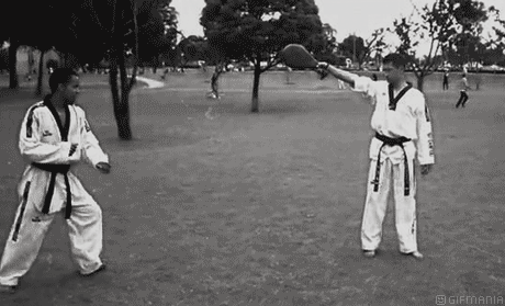 Imagen GIF de Taekwondo hook kick animado