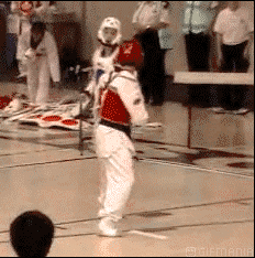 GIF animado (15186) Taekwondo k o