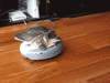GIF animado (24151) Tortuga aspiradora