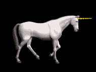 GIF animado (21753) Unicornio caminando