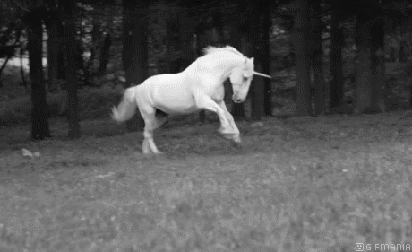 GIF animado (21754) Unicornio campo