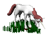 GIF animado (21766) Unicornio pastando