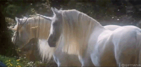 GIF animado (21779) Unicornios reales