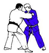 GIF animado (15119) Yoko otoshi judo