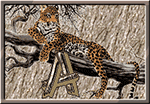 GIF animado (30286) Abecedario leopardos
