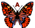 GIF animado (30477) Abecedario mariposas