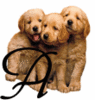 GIF animado (31616) Letra a cachorros