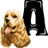 GIF animado (31716) Letra a raza perro