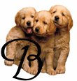 GIF animado (31617) Letra b cachorros