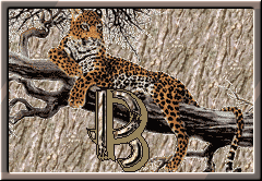 GIF animado (30288) Letra b leopardo