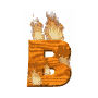GIF animado (37676) Letra b madera ardiendo