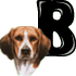 GIF animado (31717) Letra b raza perro
