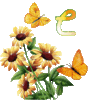 GIF animado (36942) Letra c flores mariposas