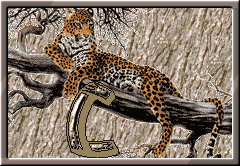 GIF animado (30289) Letra c leopardo