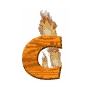 GIF animado (37677) Letra c madera ardiendo