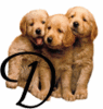 GIF animado (31619) Letra d cachorros