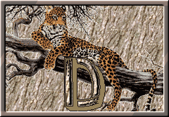 GIF animado (30290) Letra d leopardo
