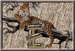 GIF animado (30291) Letra e leopardo