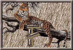 GIF animado (30292) Letra f leopardo